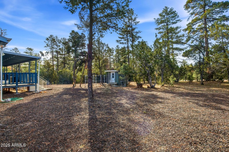 3501AZ277-HeberOvergaard-AZ-5