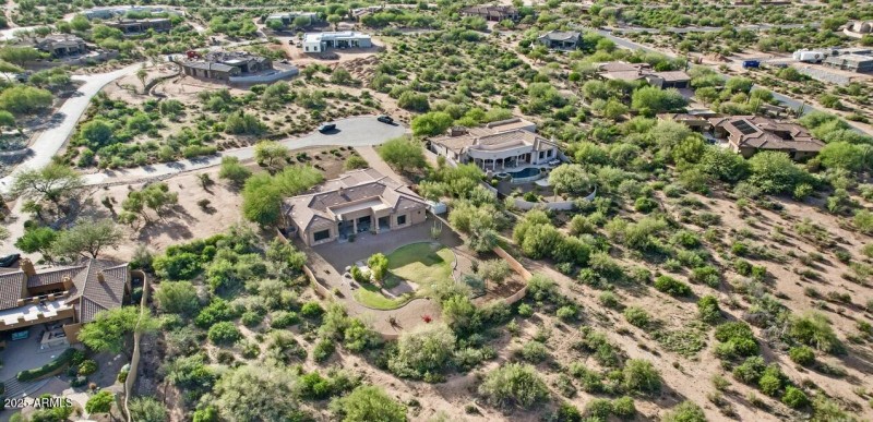 Lush Sonoran Desert