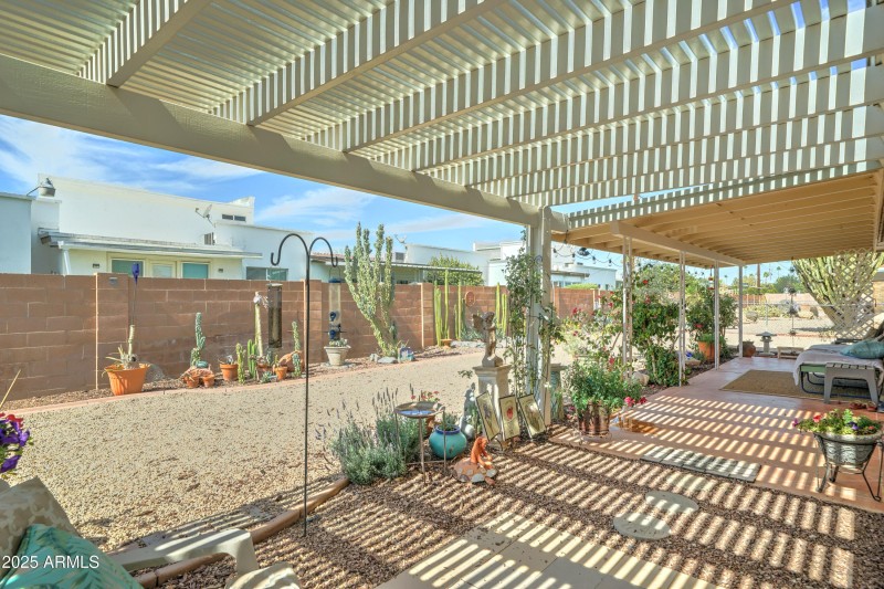 Backyard