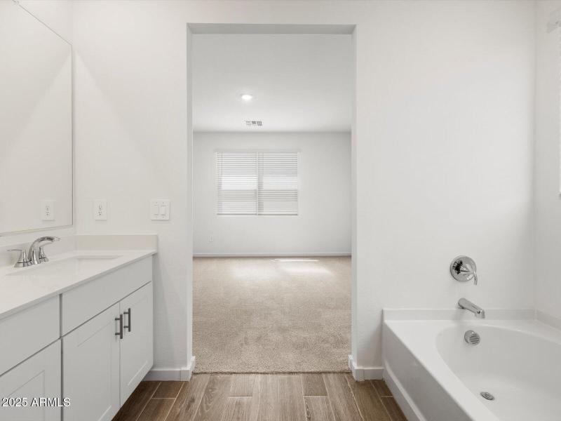 Primary Bath View 3