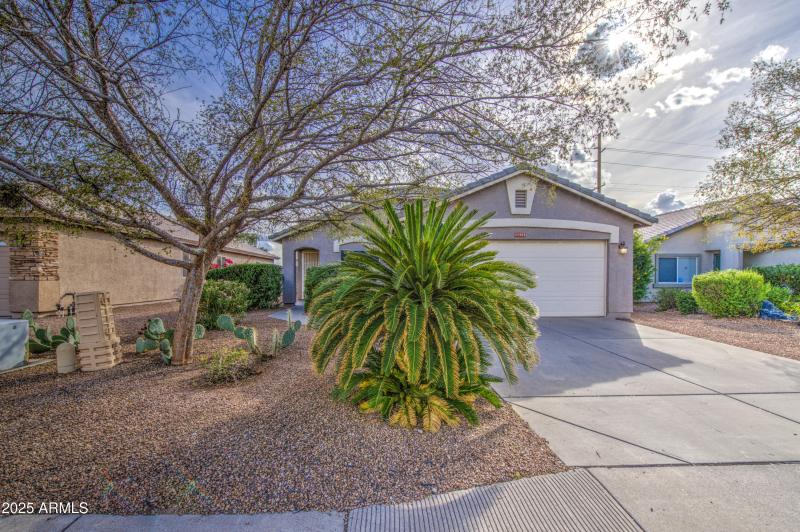 11465 E Cicero St - 1