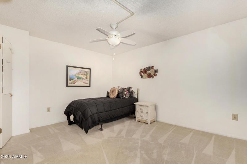 26 - Ocotillo