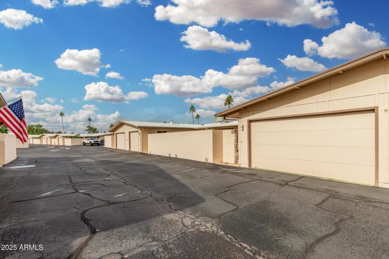 39 - Ocotillo