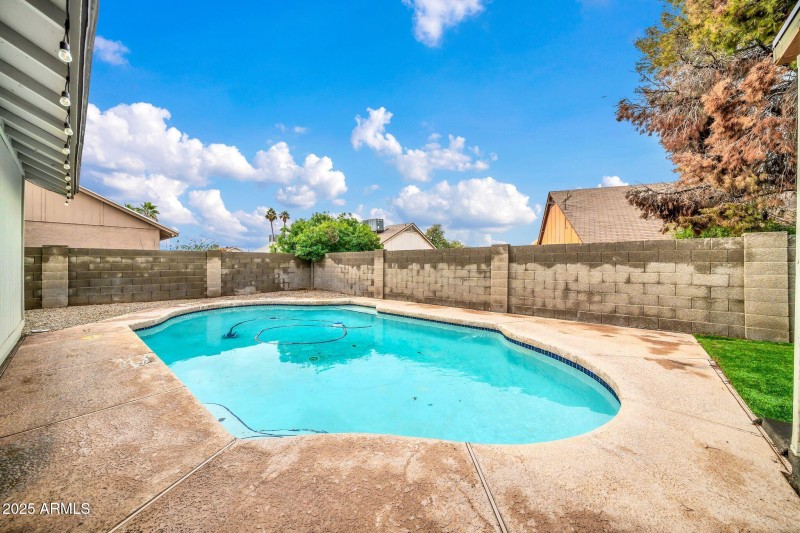 Backyard Oasis