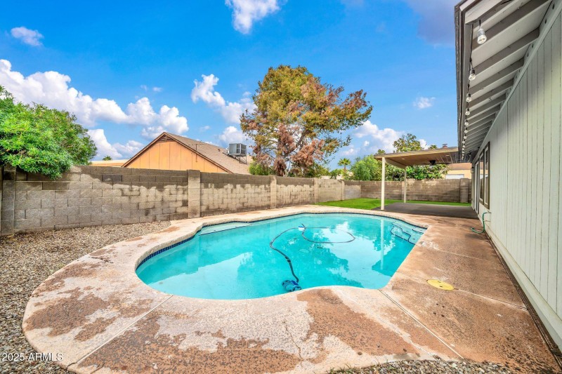 Backyard Oasis