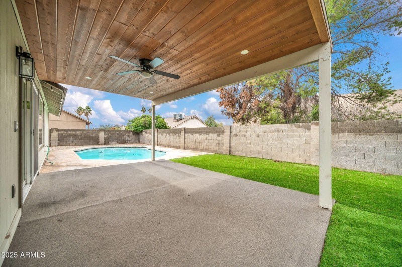 Backyard Oasis