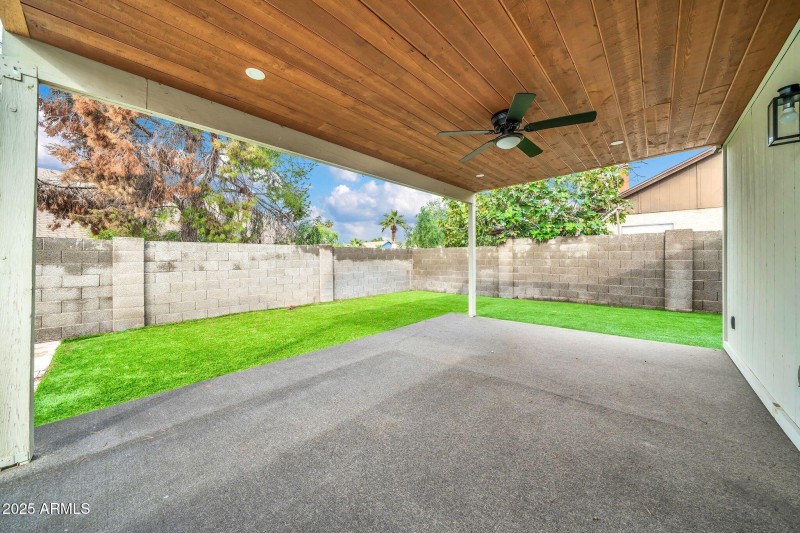 Backyard Oasis