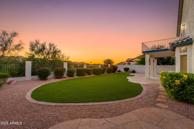 Backyard