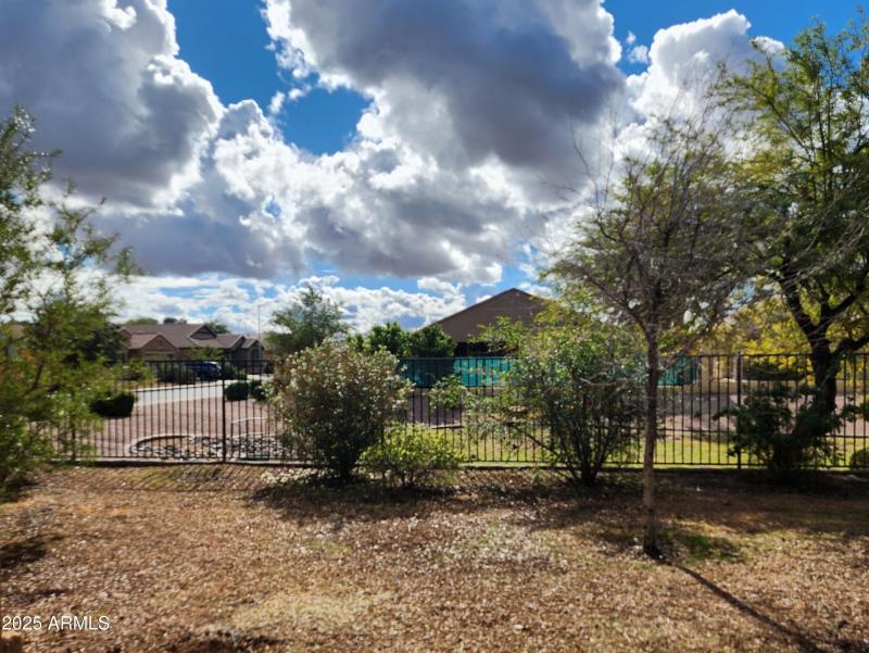 Backyard view
