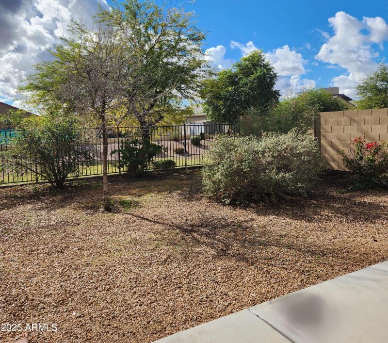 Backyard view