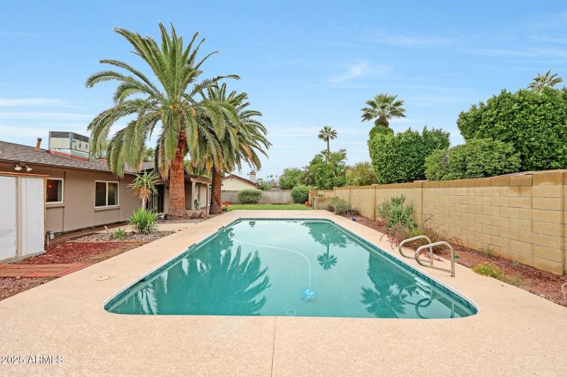 Backyard 3