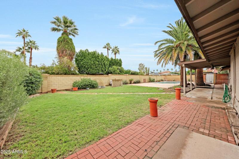 Backyard