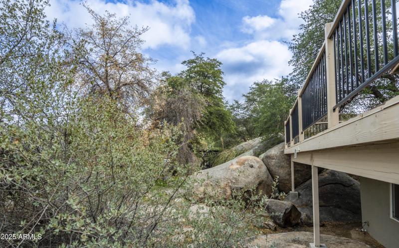 12 backyard c