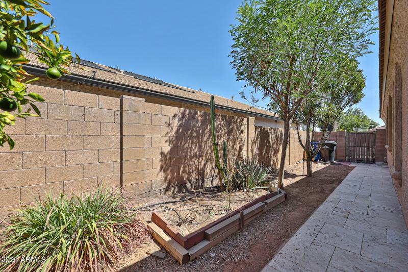 Side Yard