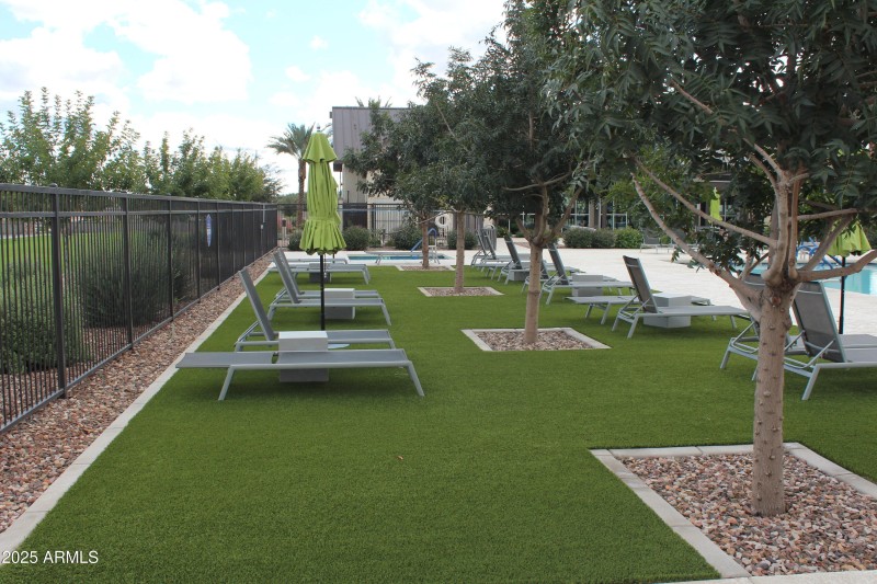 Lawn area