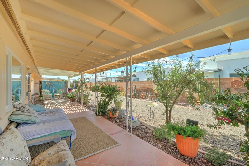 Backyard#2