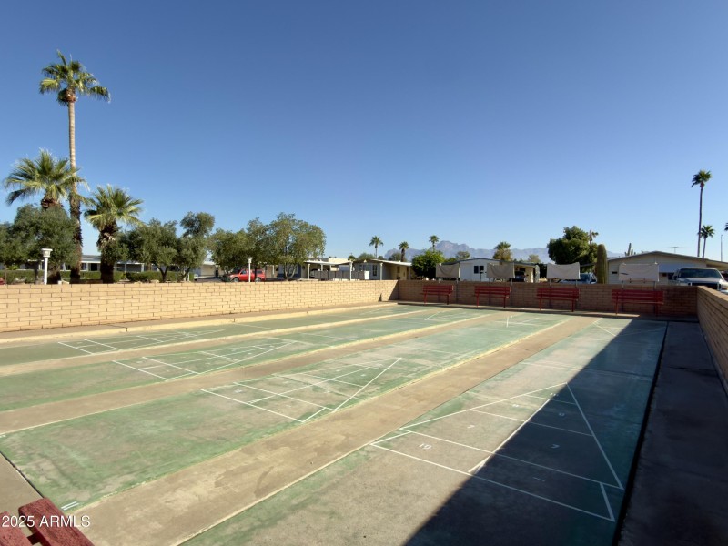 Shuffleboard