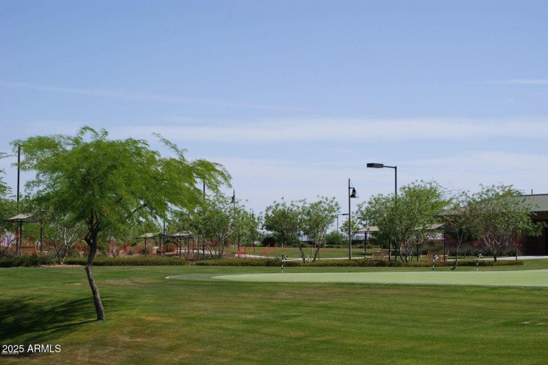 c25