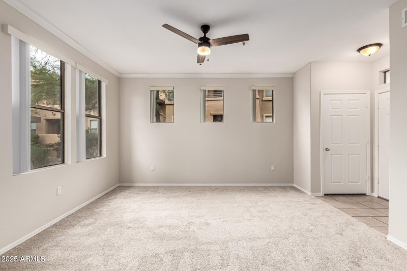 New Carpet and Paint