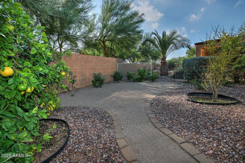3652 W Saratoga Ct Florence AZ-large-039