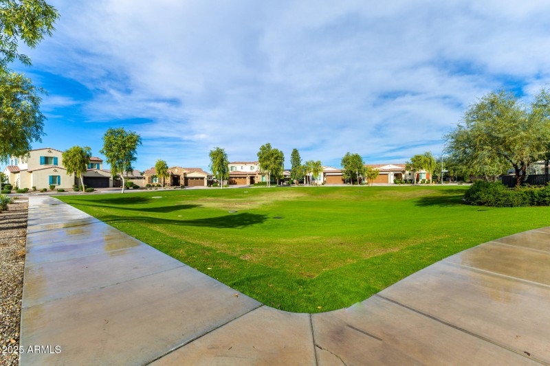 41-Desert Hollow