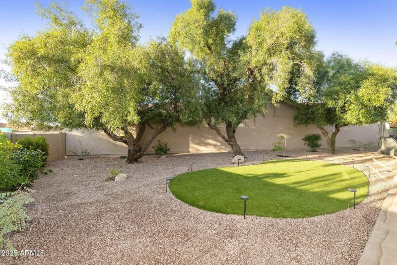 Side yard
