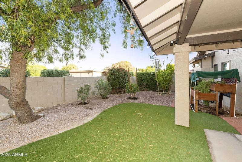 Back yard off patio