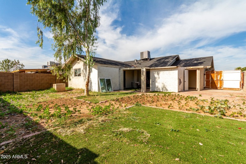 33 Mulberry