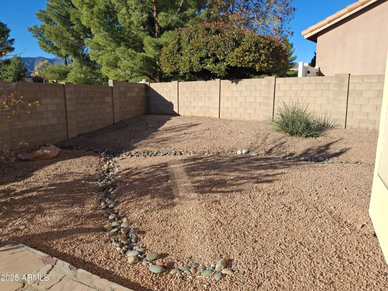 back yard
