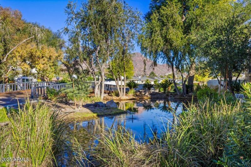 Bridgewood