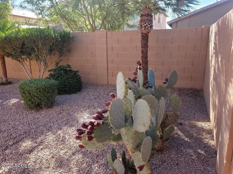 20221108_101336_resized