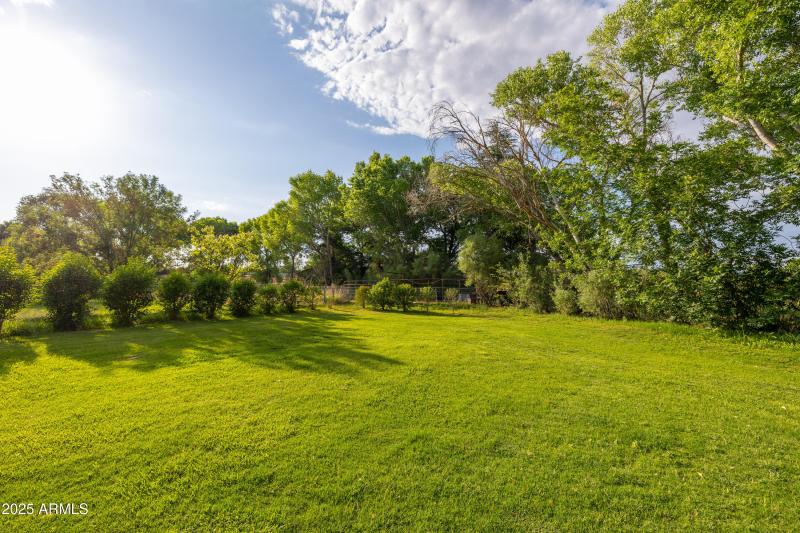 Grassy yard