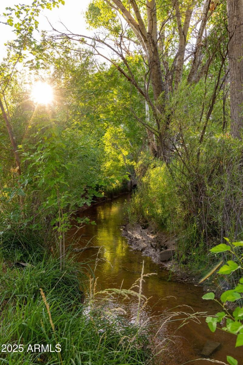 Nearby creek