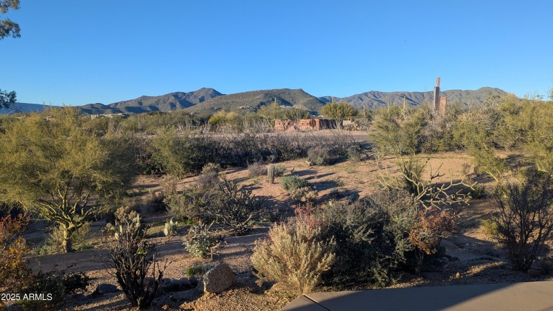 Views to the north