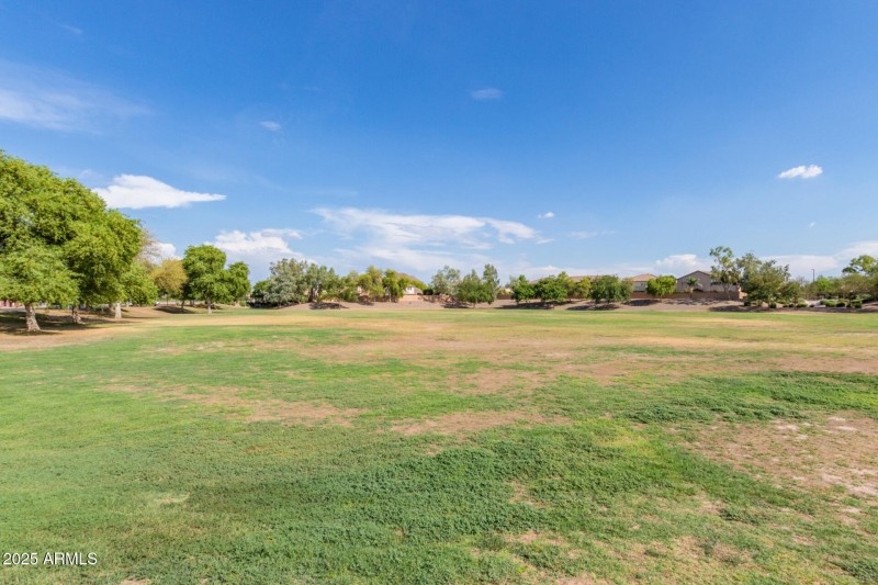 Designated Open Spaces