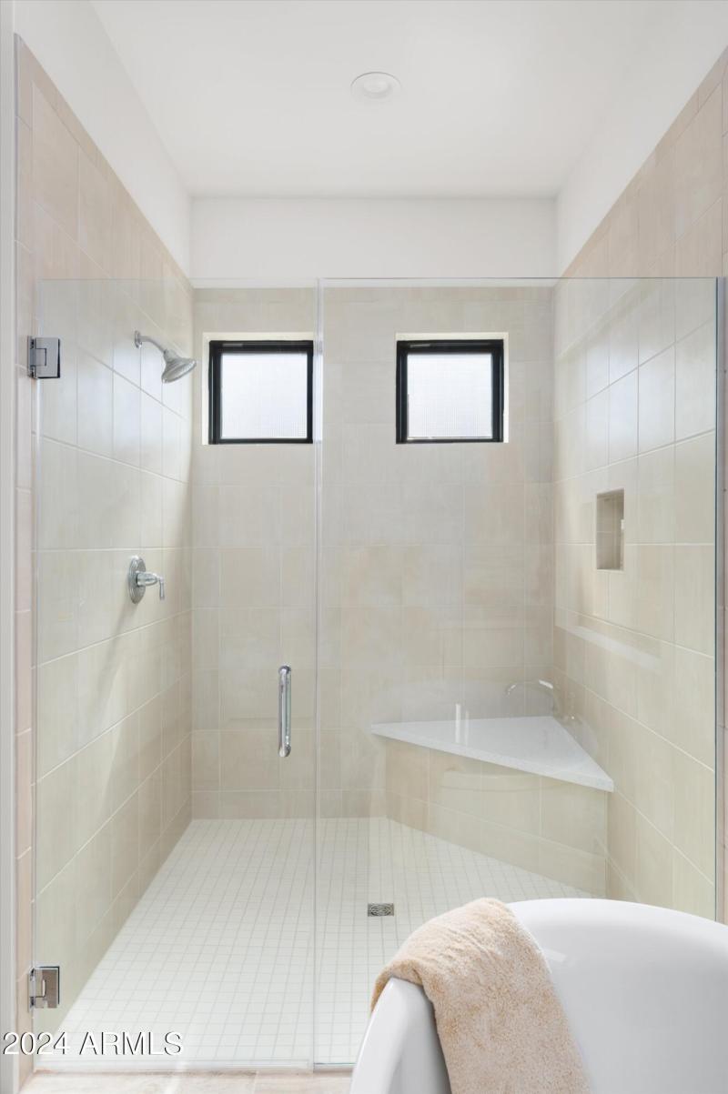 Primary Shower