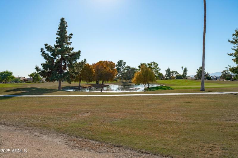 46-Backyard View