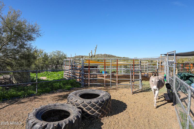 corral