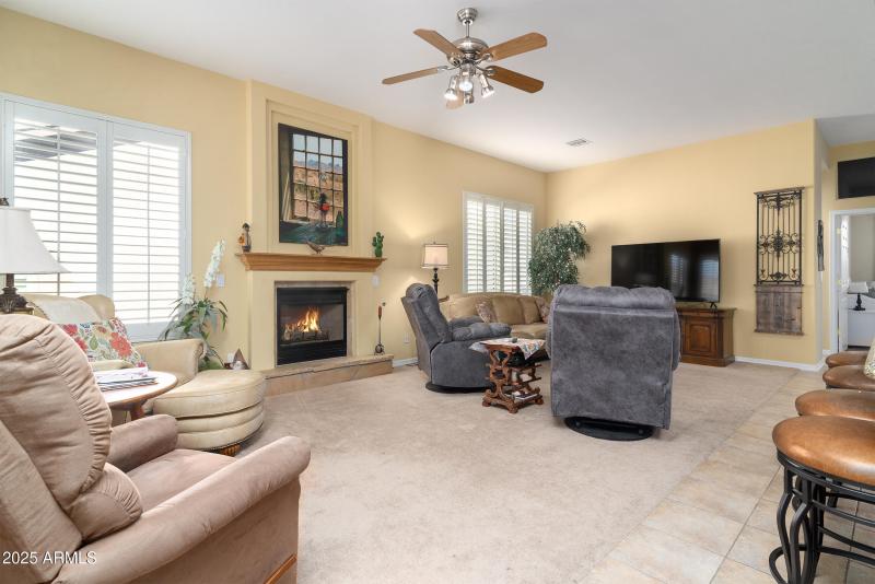 Gas fireplace