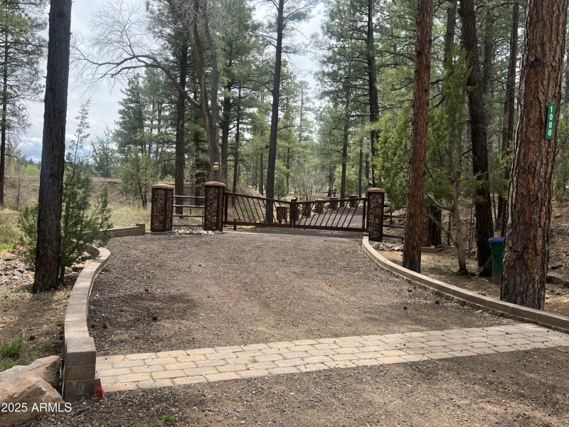 Showlow cabin-1
