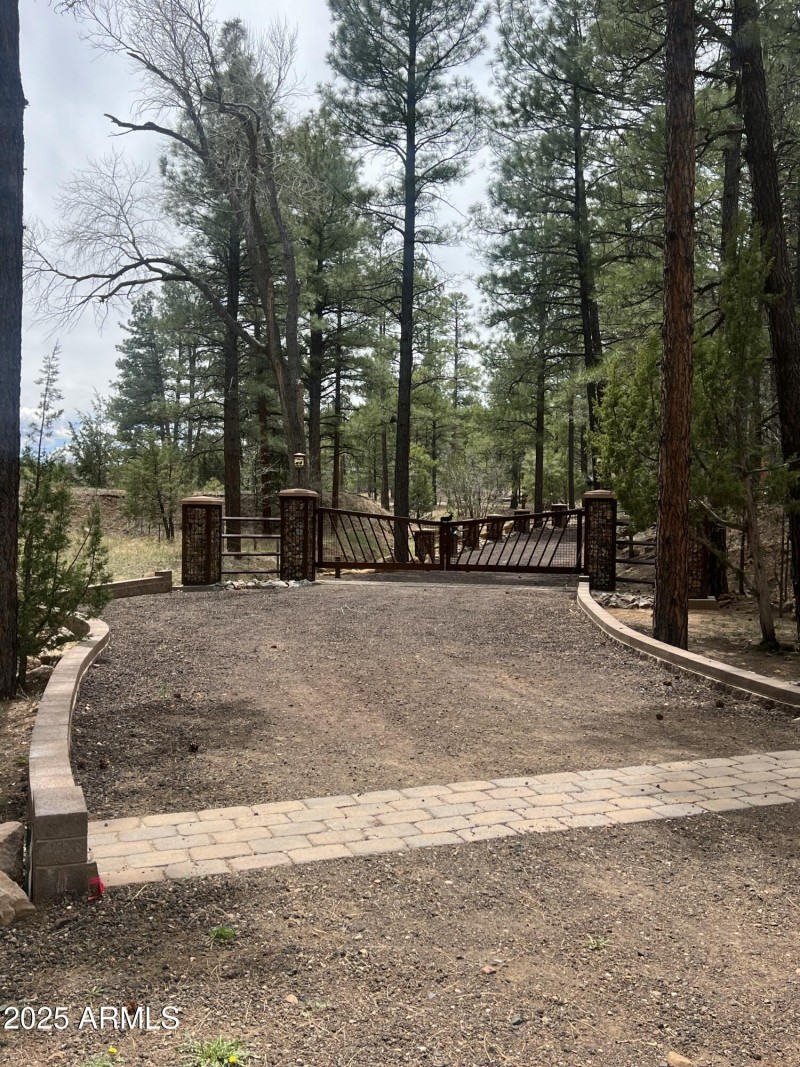 Showlow cabin-2