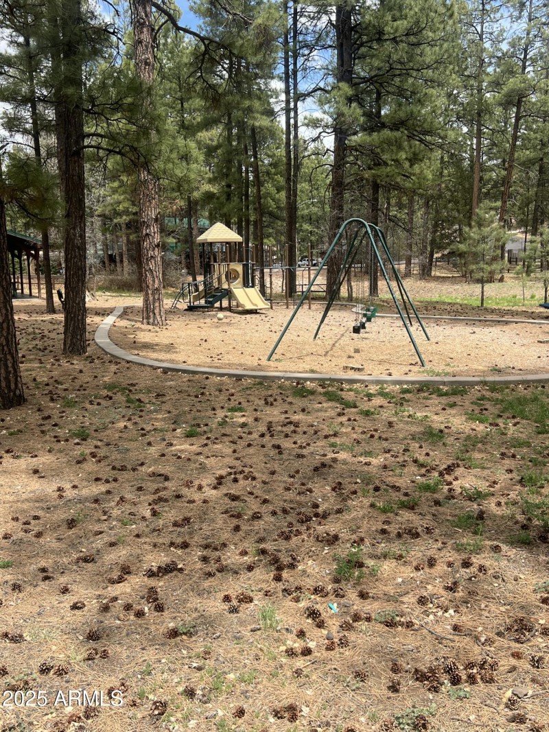 Showlow cabin-3