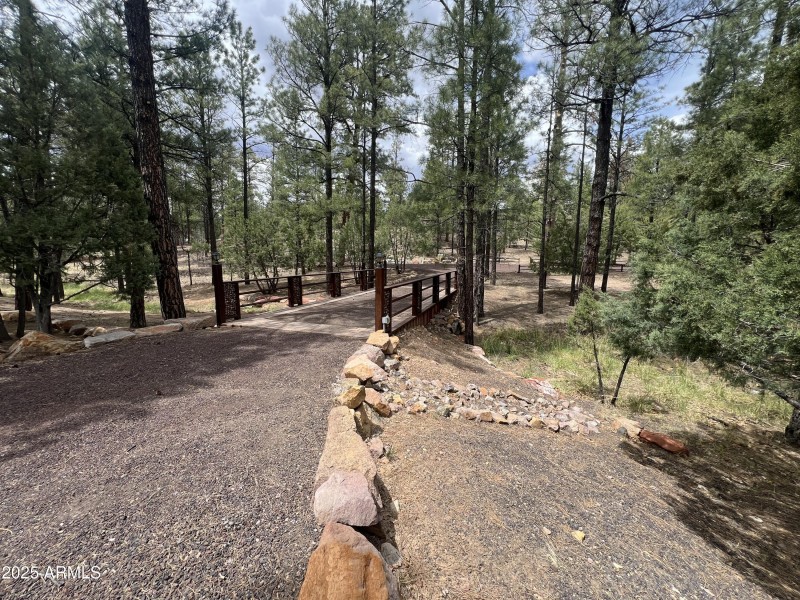Showlow cabin-40