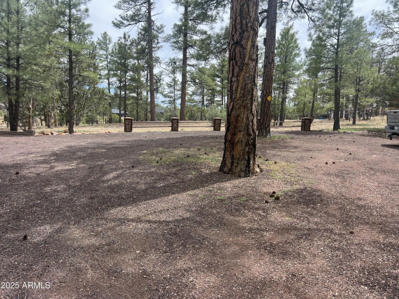 Showlow cabin-42
