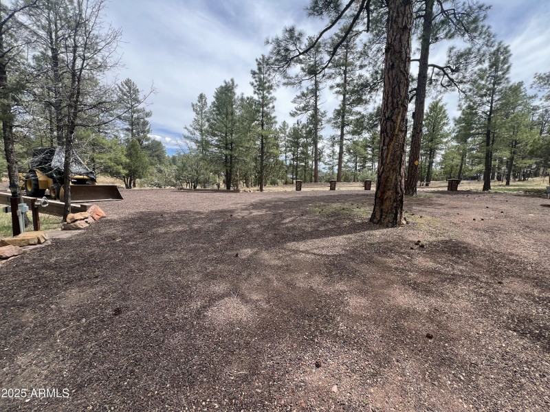 Showlow cabin-43