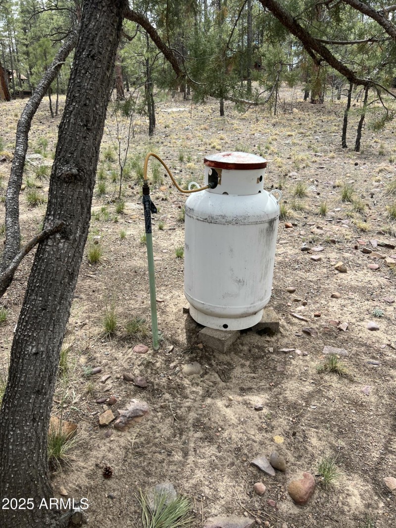 Showlow cabin-50