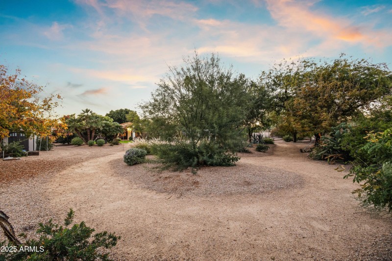 BACKYARD WALKING PATH - TWILIGHT