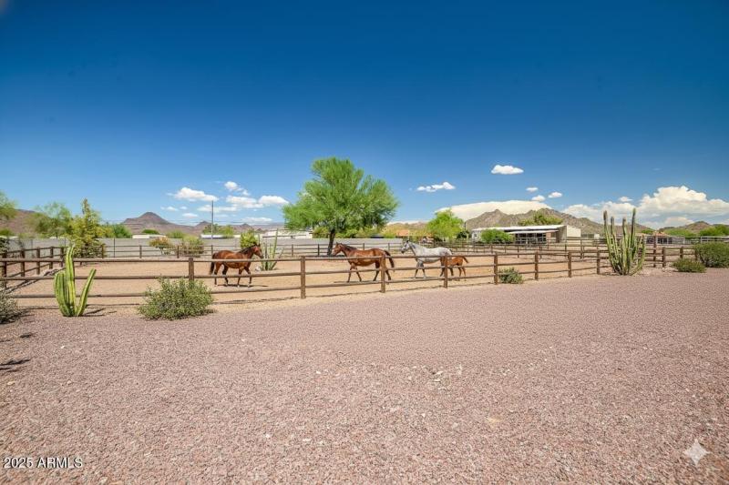 Room for Horses & Arena