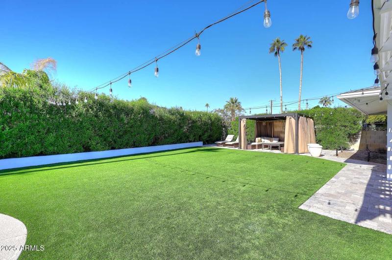 Grass Area