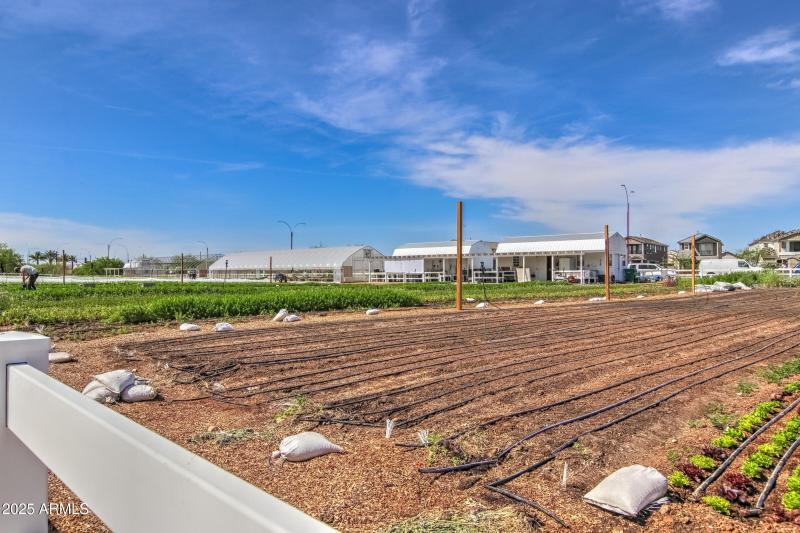 Eastmark Community
